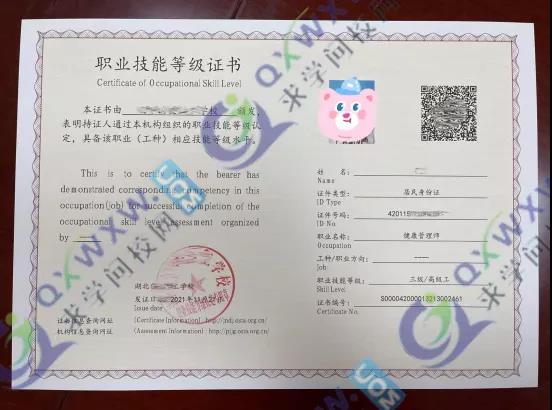 湖北健康管理師證書模板